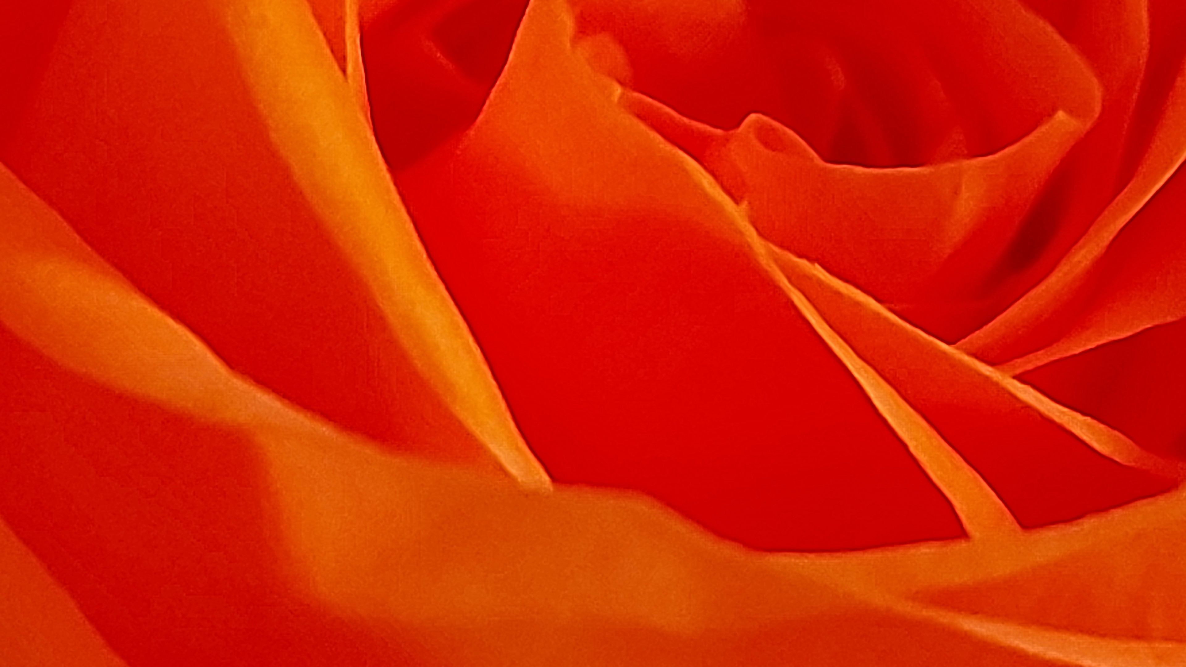 How do you paint a rose? ROADS WE TRAVEL AND DESTINATIONS REACHED